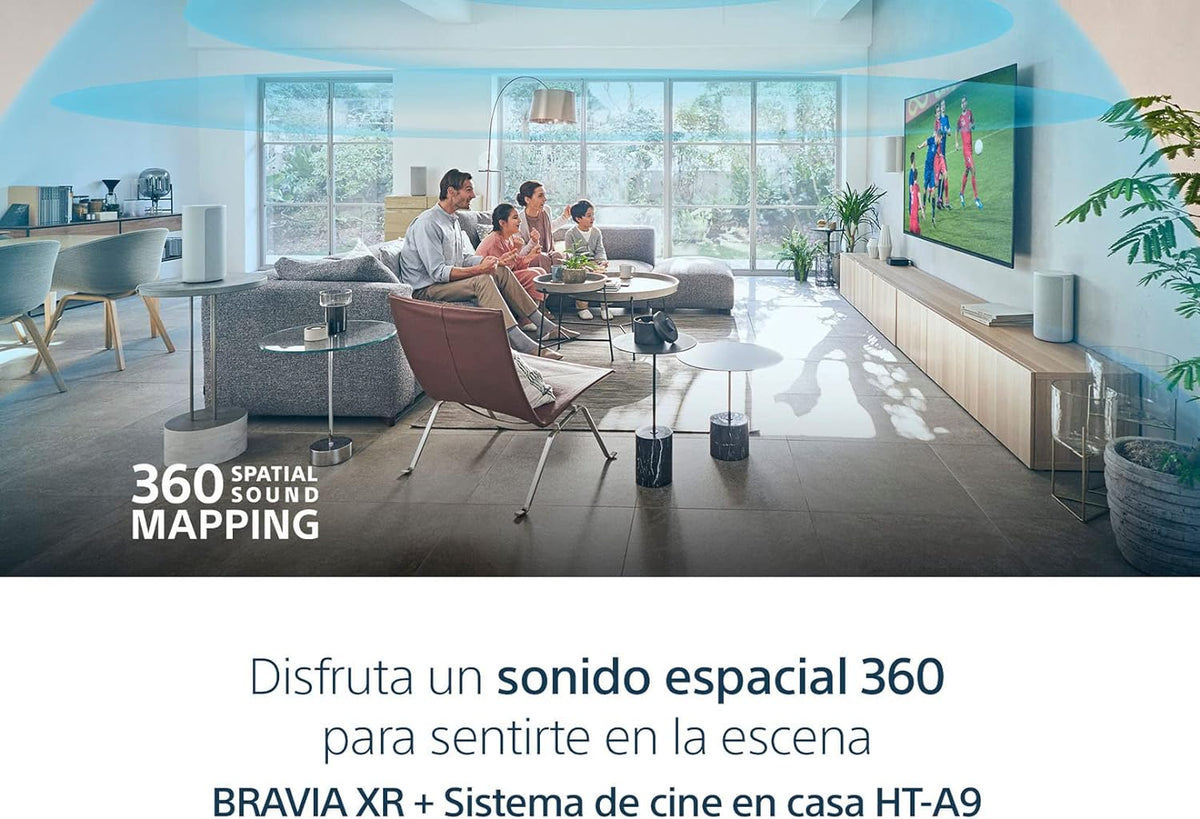 55 inch 4K Ultra HD OLED Smart Google TV D395