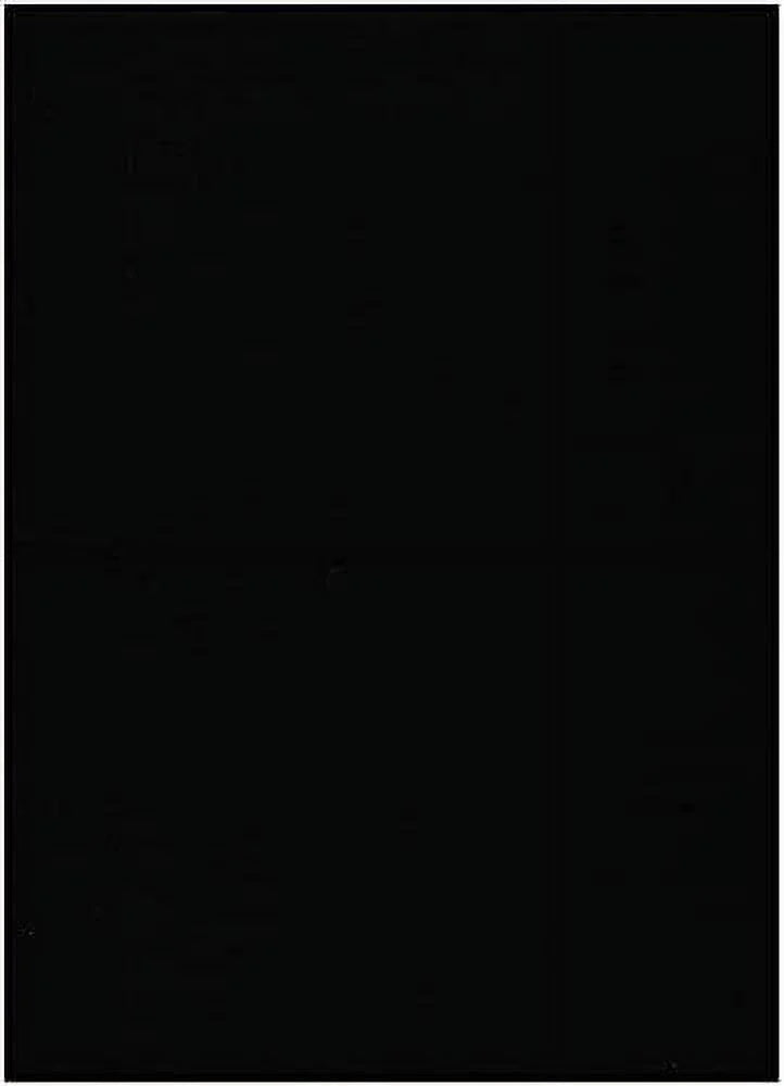 Queen Size Suede Futon Mattress L992525