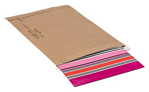 All-Purpose Heavy Duty Mailing Envelope, Case of 250 D724