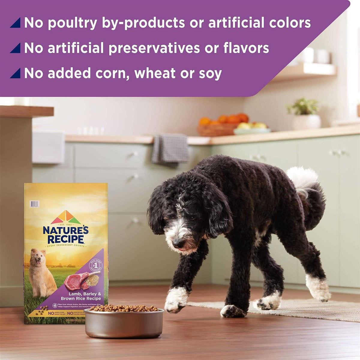 Adult Dry Dog Food D350