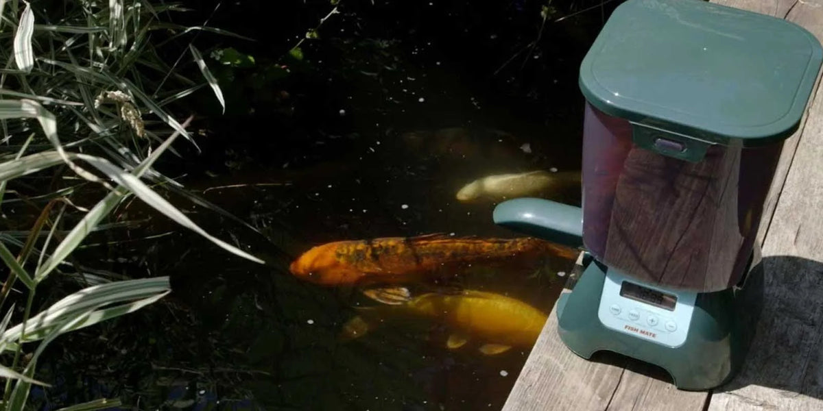 Automatic Pond Fish Feeder, 6.5 lbs. Capacity E48000