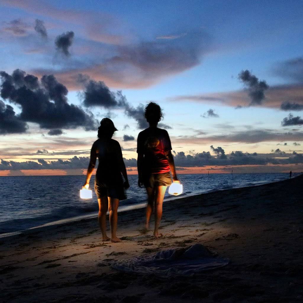 6'' Solar Powered Integrated LED Outdoor Floating Light L468032