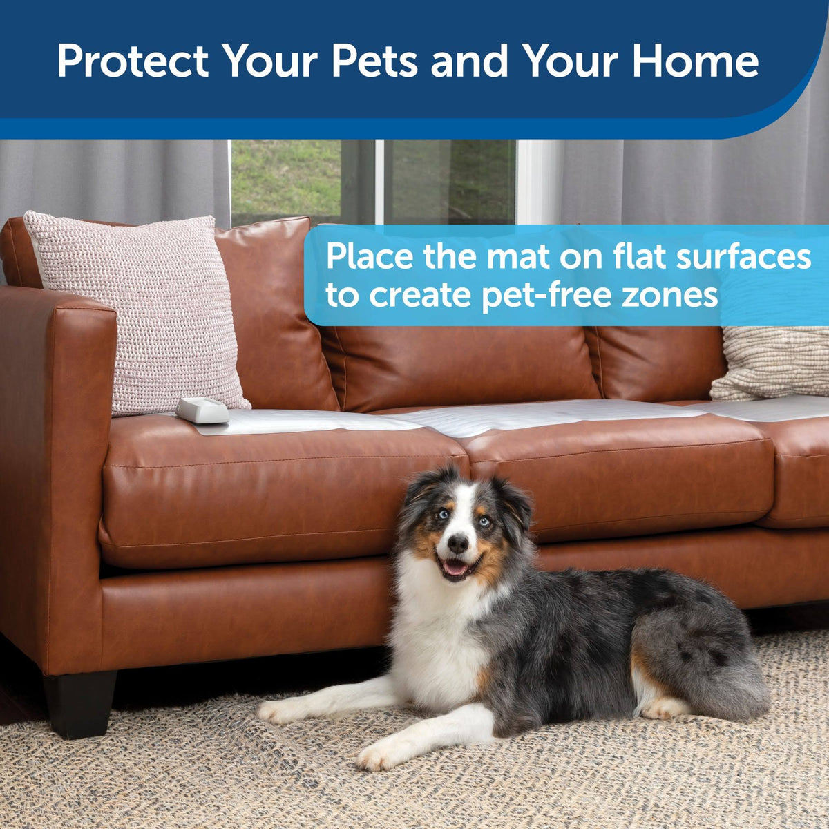 Sofa Training Mat, 12 x 60 Inches G479