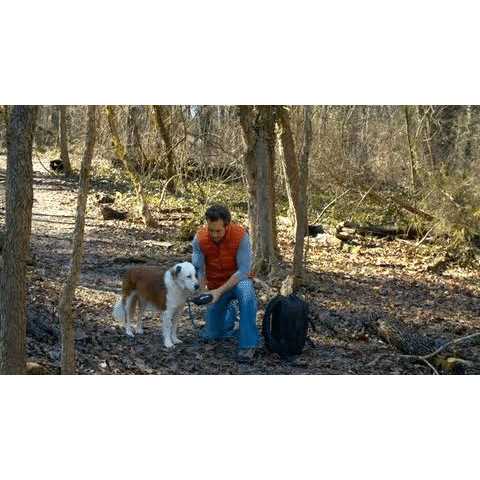 Dog Harness E506
