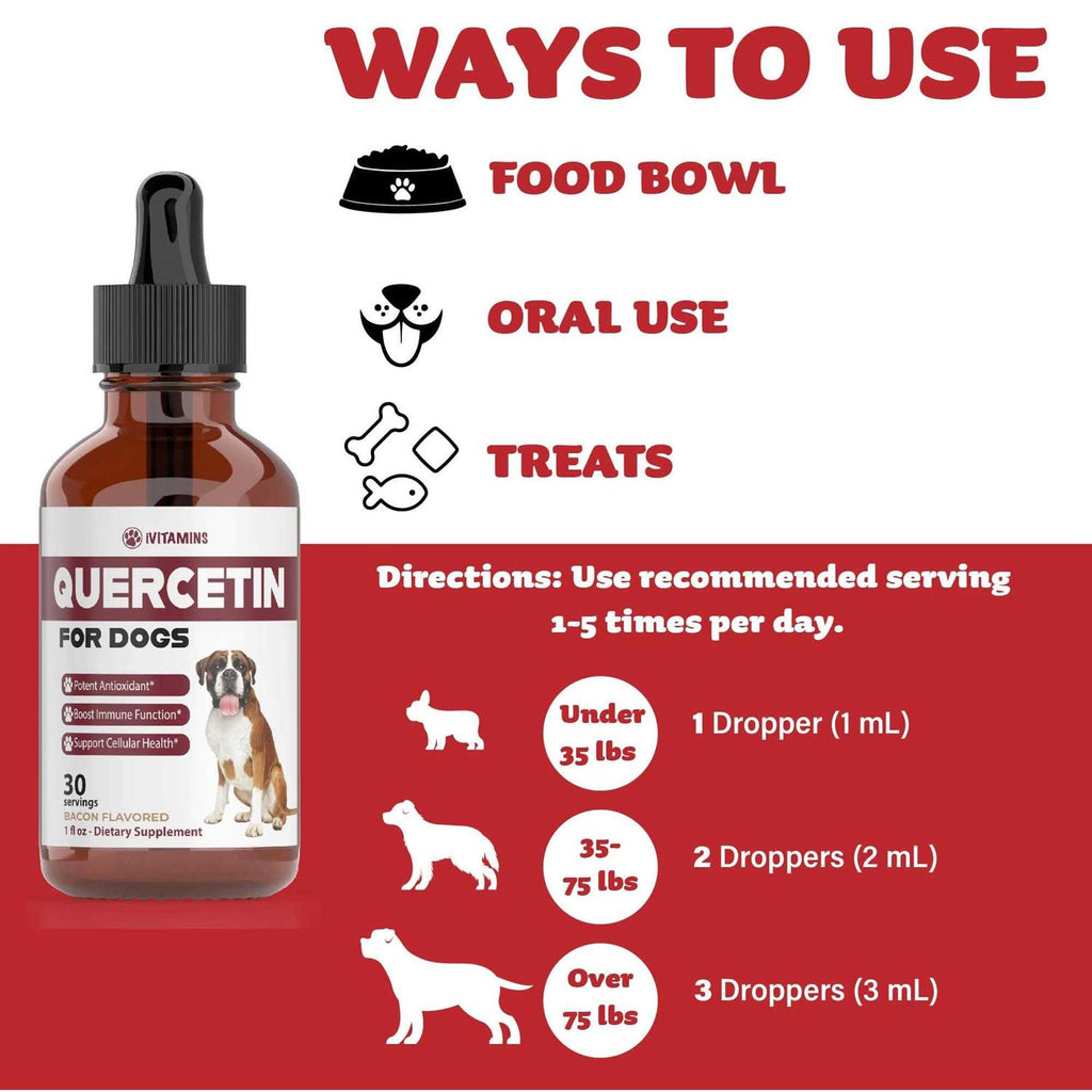 Quercetin for Dogs Allergy Relief L948