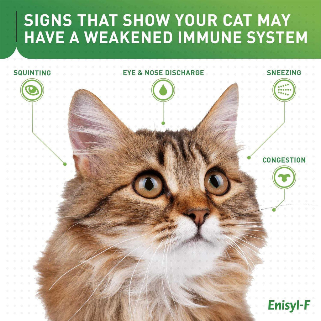 L-Lysine Chews for Cats & Kittens O5378