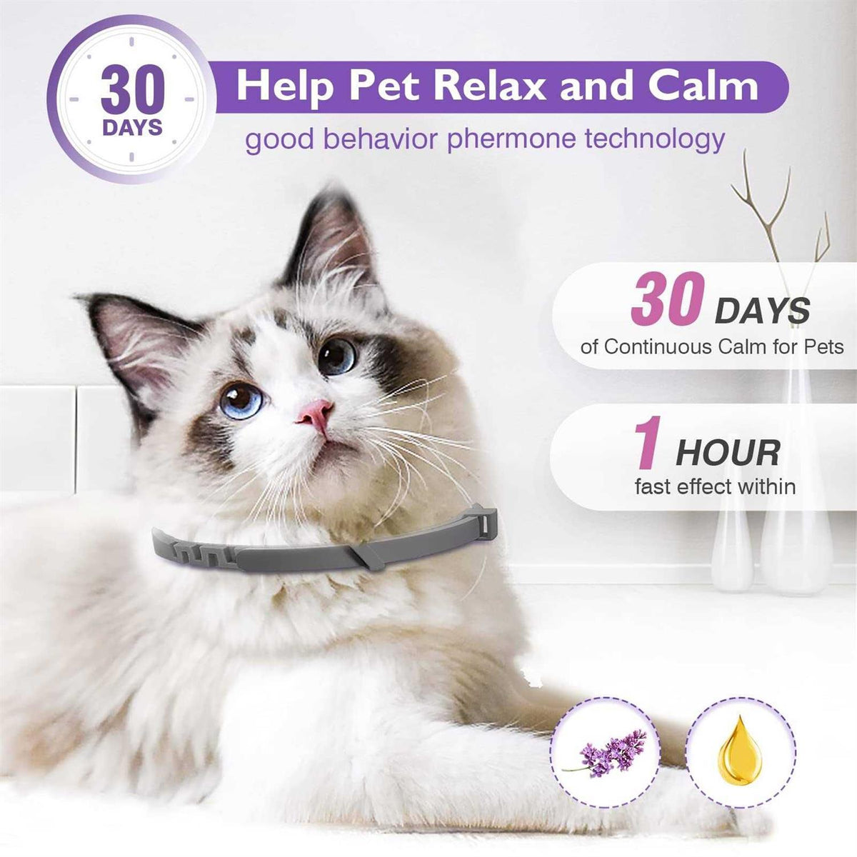3 Pack Calming Collar E17959