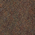 Modular Carpet Tile Kit 24 in. x 24 in. Black/Tan/Multi Y7958