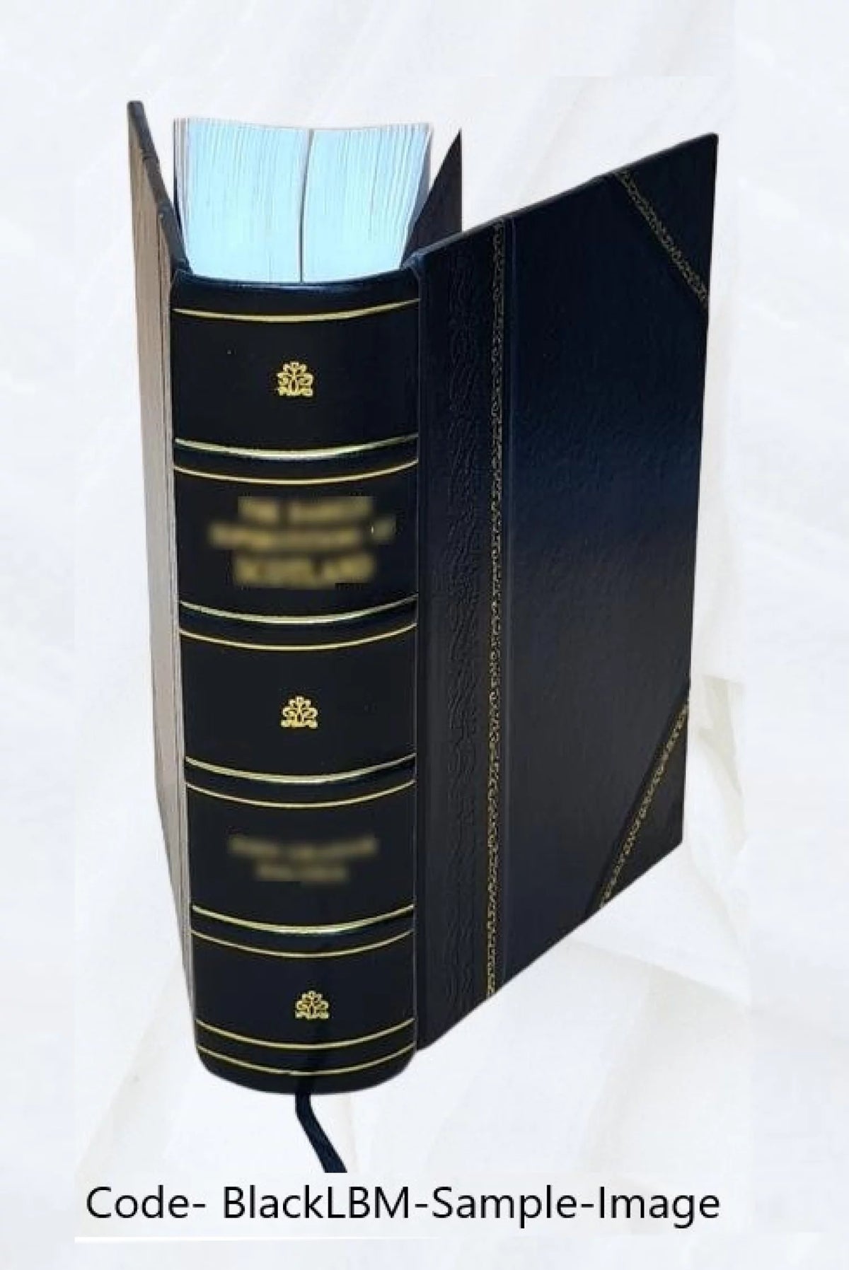 Leather Bound A543450