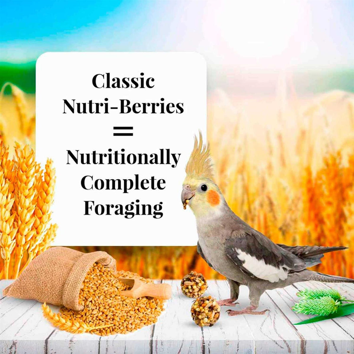 Nutri Berries Food V996091