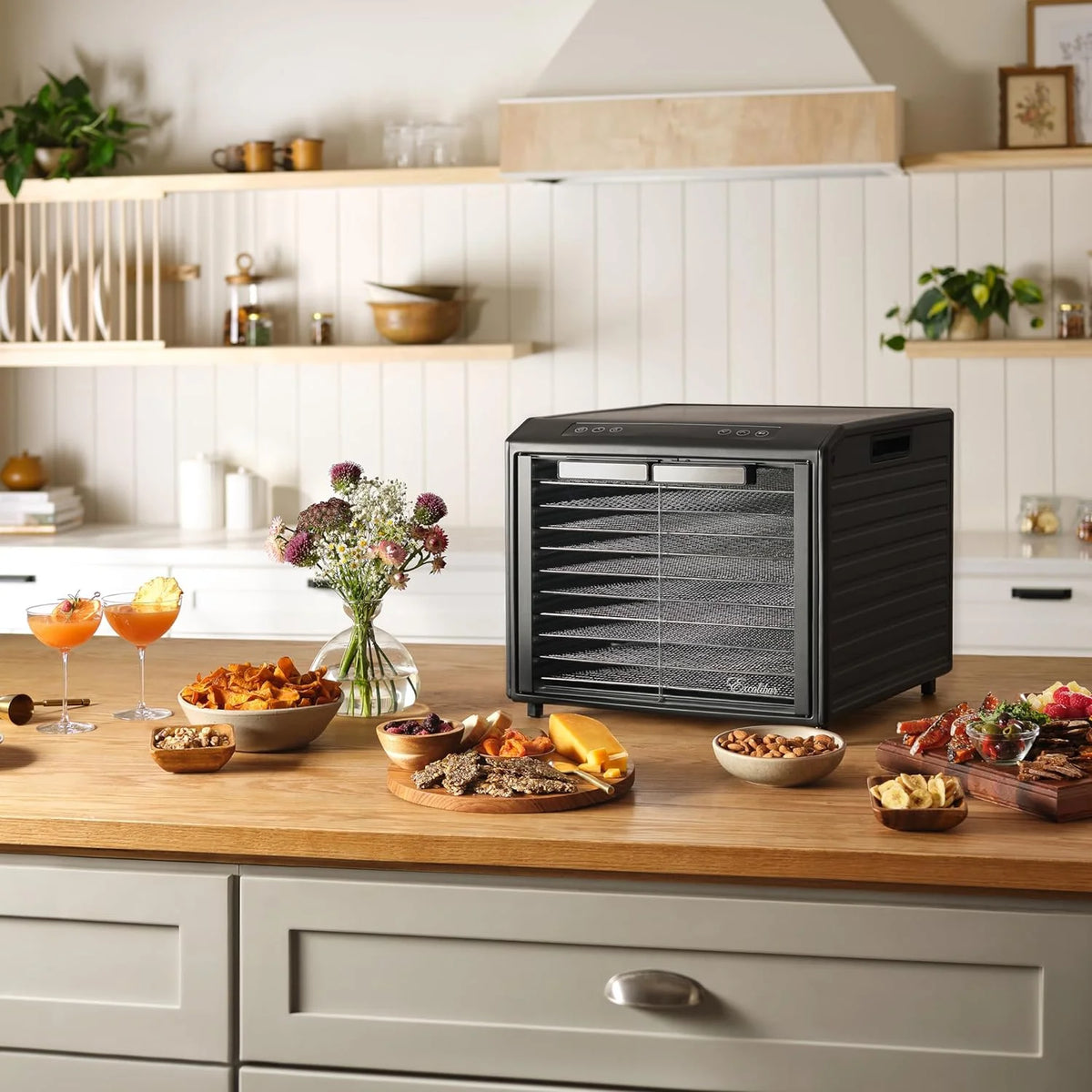 10-Tray Electric Food Dehydrator with Adjustable Temperature Control, 800-Watts, Black Q48753