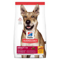 Chicken & Barley Dry Dog Food A1951