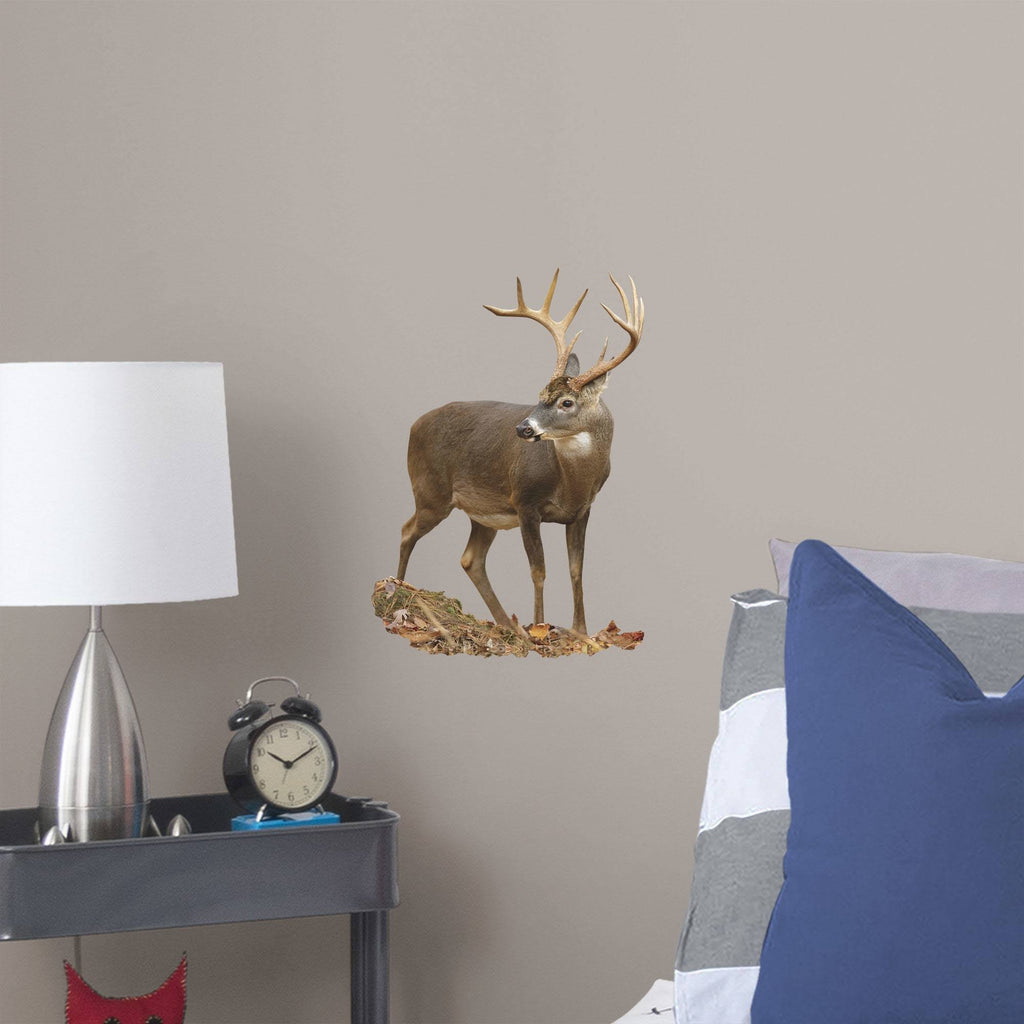 X-Large Removable Wall Decal T472
