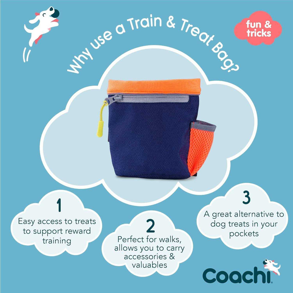 Train & Treat Bag W5575