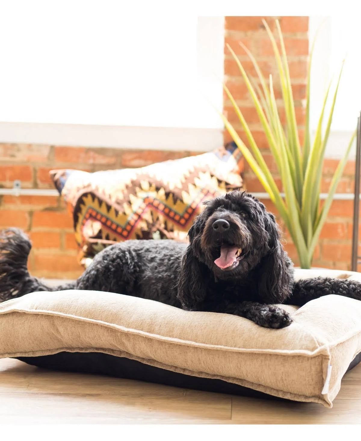 Beige Flanged Mattress Dog Bed L282511