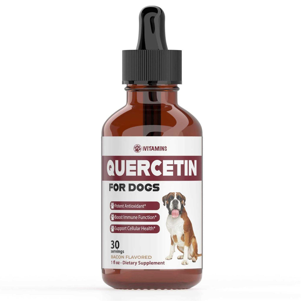 Quercetin for Dogs Allergy Relief L948