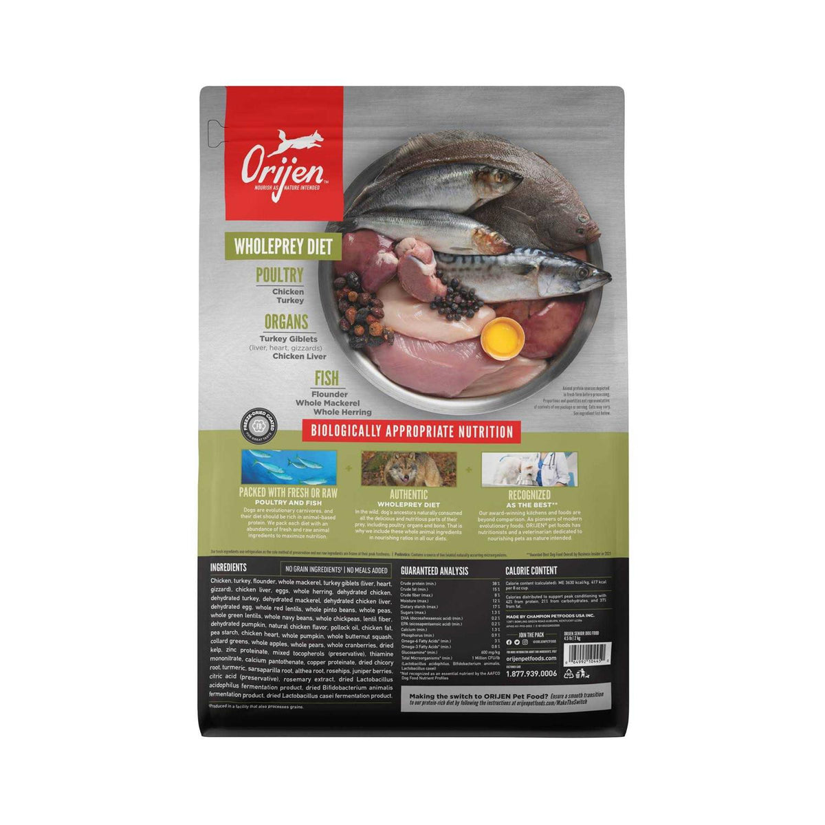 Senior Dry Dog Food Y305076