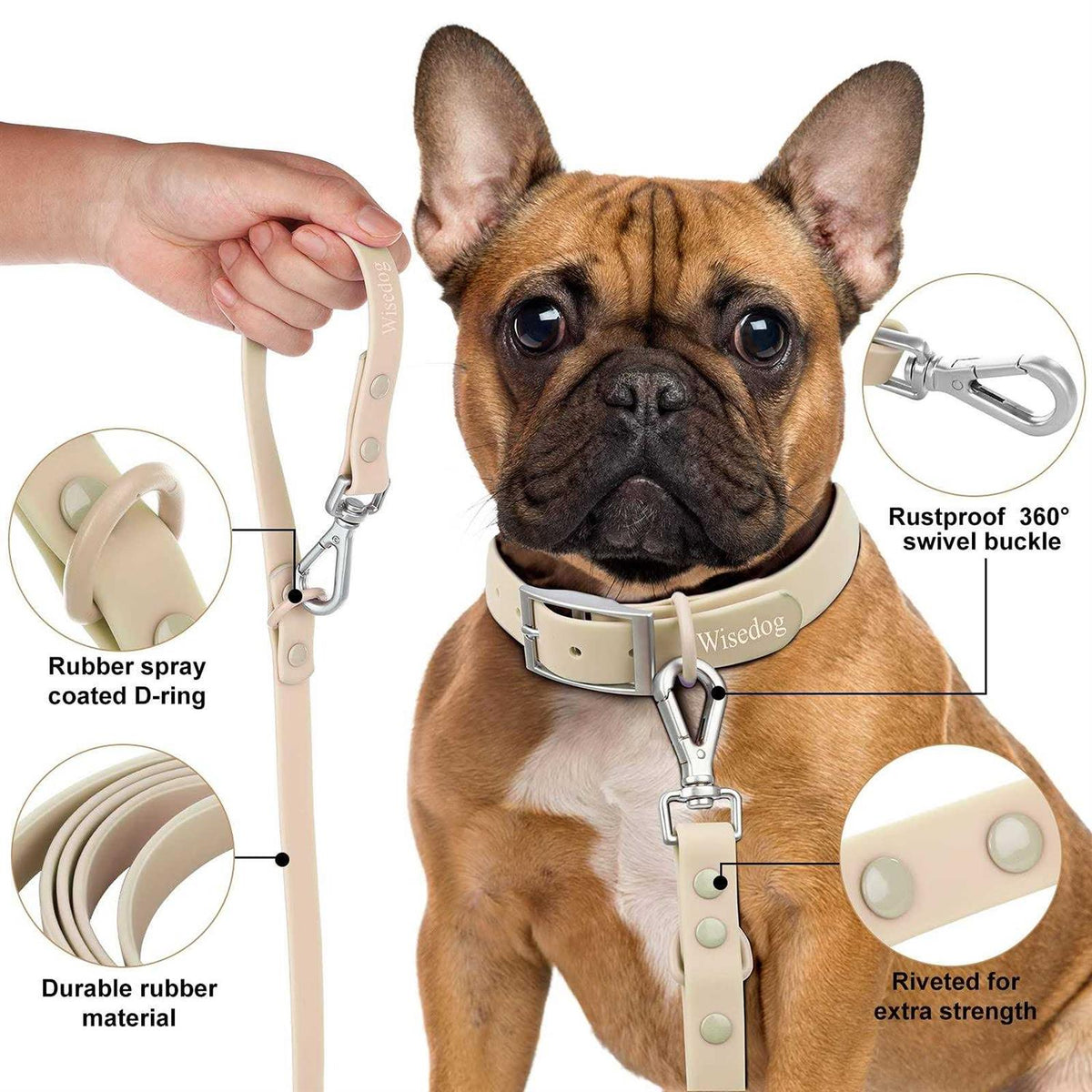 Waterproof Dog Leash with 2 Hooks N571