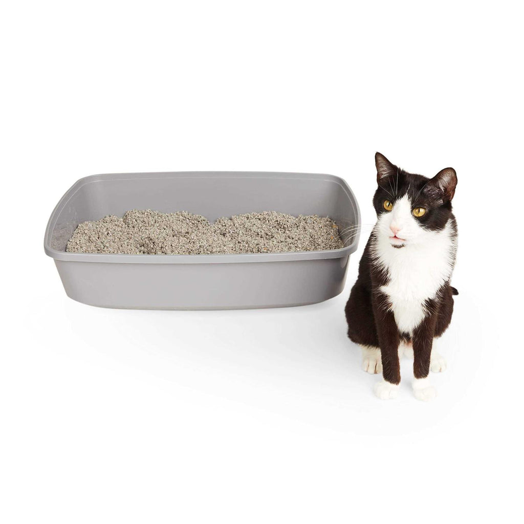 Open Cat Litter Box N319216