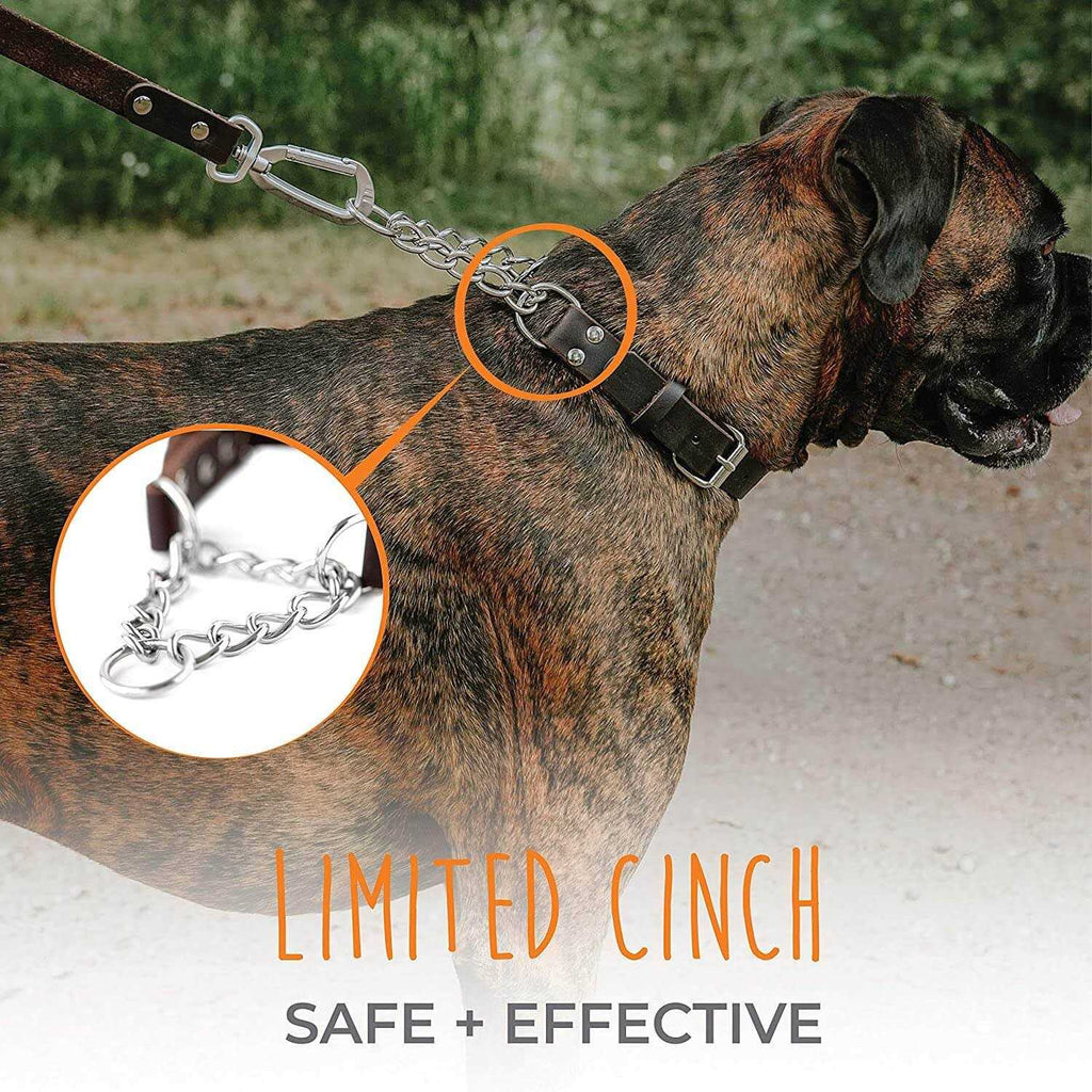 Leather Martingale Collar E80254
