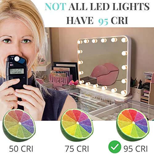 Large Hollywood Vanity Mirror with Lights, 18 LED Bulbs, Wall-Mount/Tabletop (Rose Gold) W58091