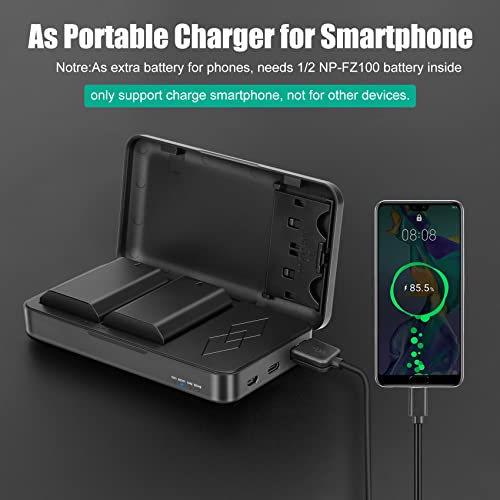NP-FZ100 Battery and Charger 2 Pack B514870