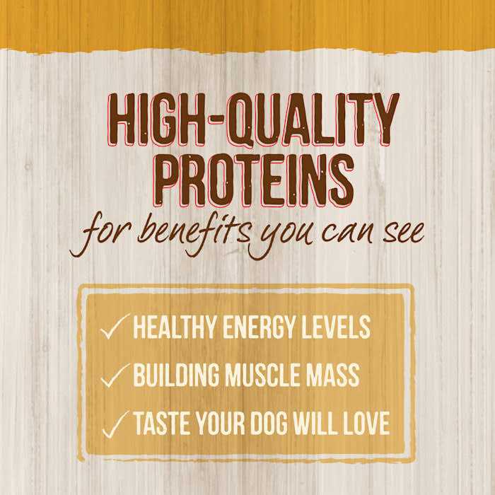 Real Ancient Grains Dry Dog Food A666161