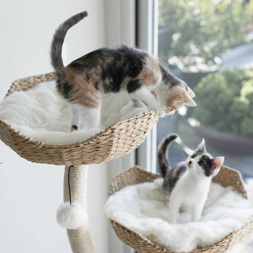 Modern Cat Tree Q316592