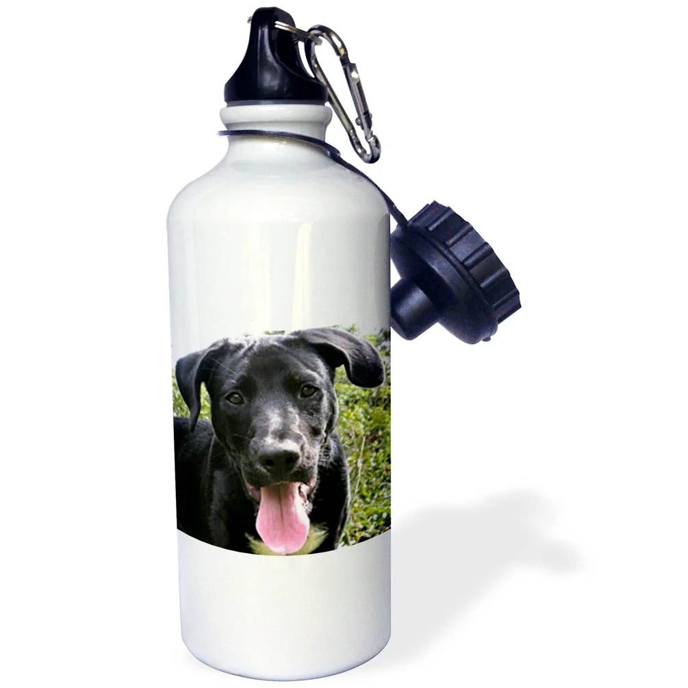 Black Labrador Puppy 21 oz Sports Water Bottle P571