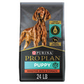 Sensitive Skin & Stomach Dry Puppy Food Y9664