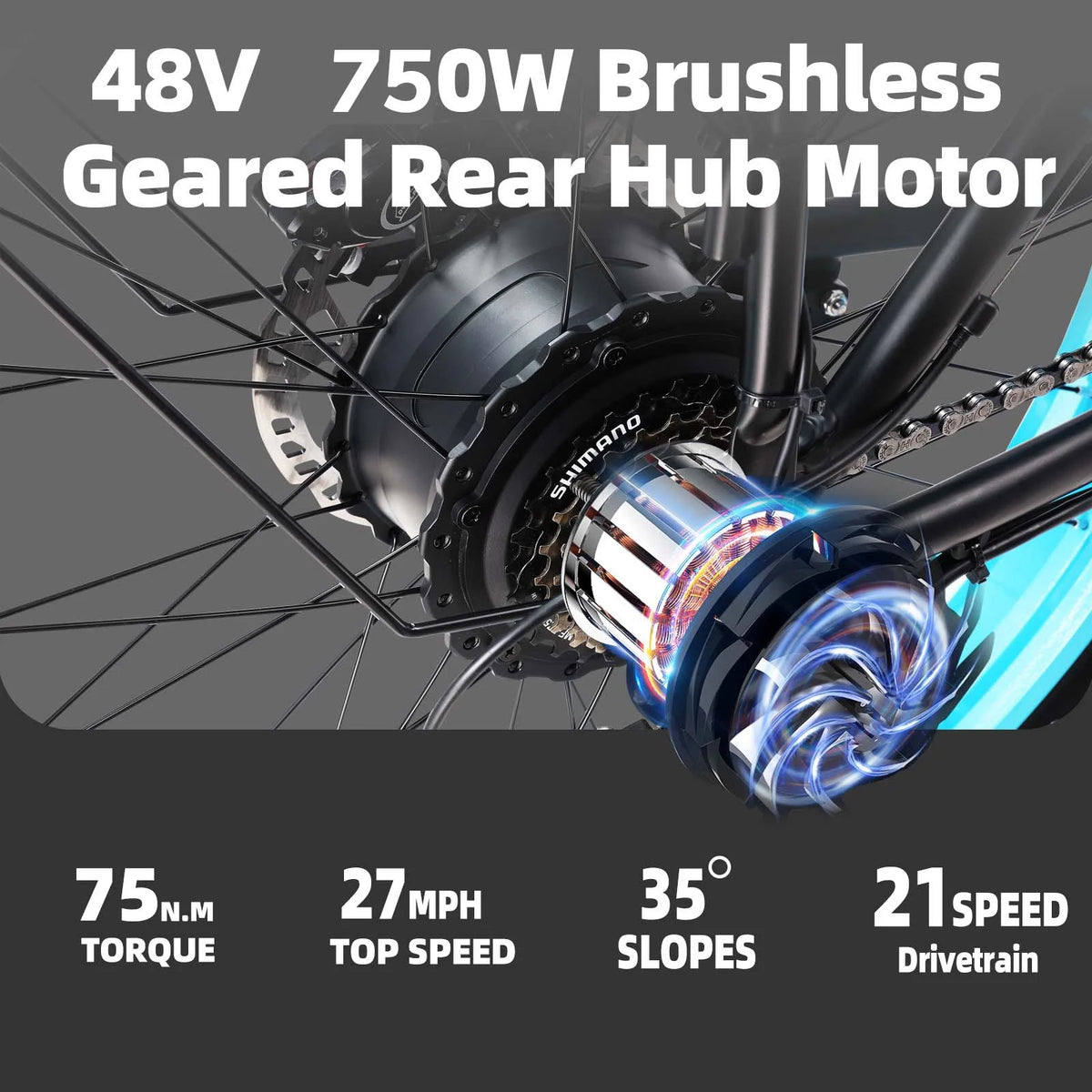 750W 48V 13AH Fat Tire Electric Bike L6862