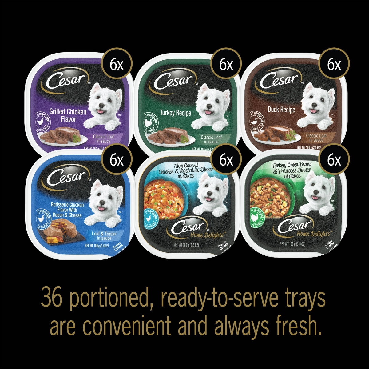 Wet Dog Food 3.5 oz Tray 36 Pack V21101