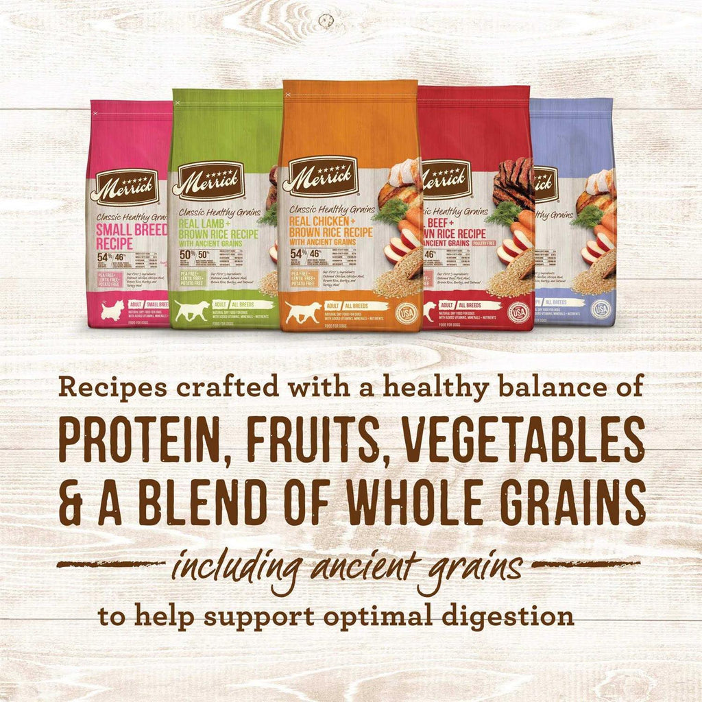 Real Ancient Grains Dry Dog Food A666161