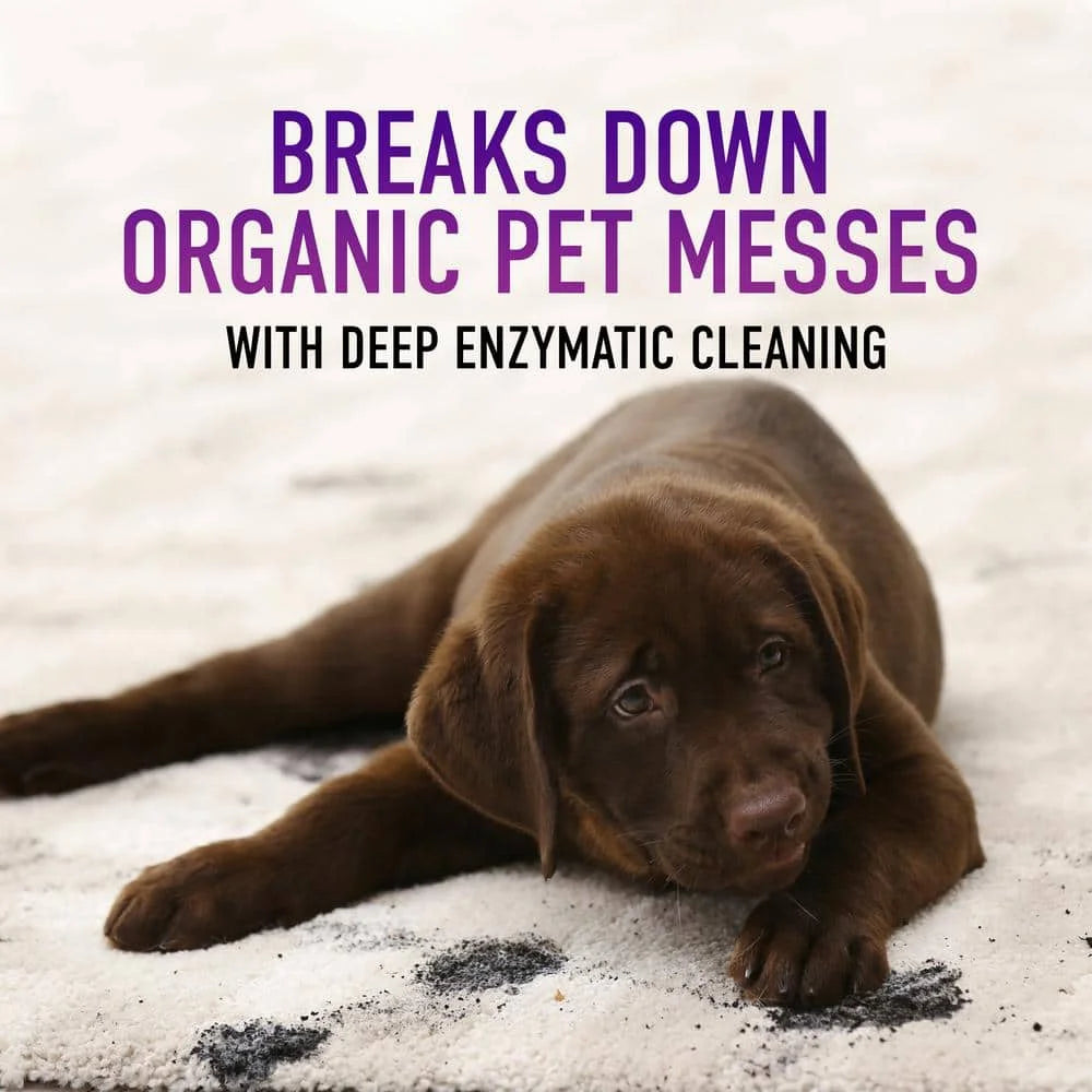 64 oz Carpet Shampoo with Stainguard M1156