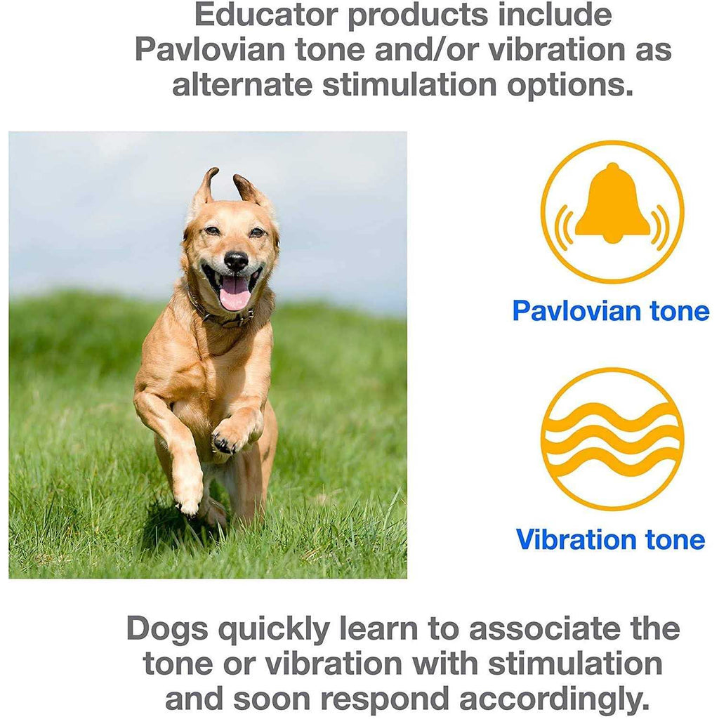 Dog Training Collar System with Remote P191065