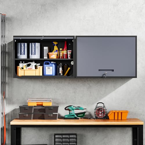Black Metal Wall Mounted Storage Cabinet with Doors and Shelves Q487