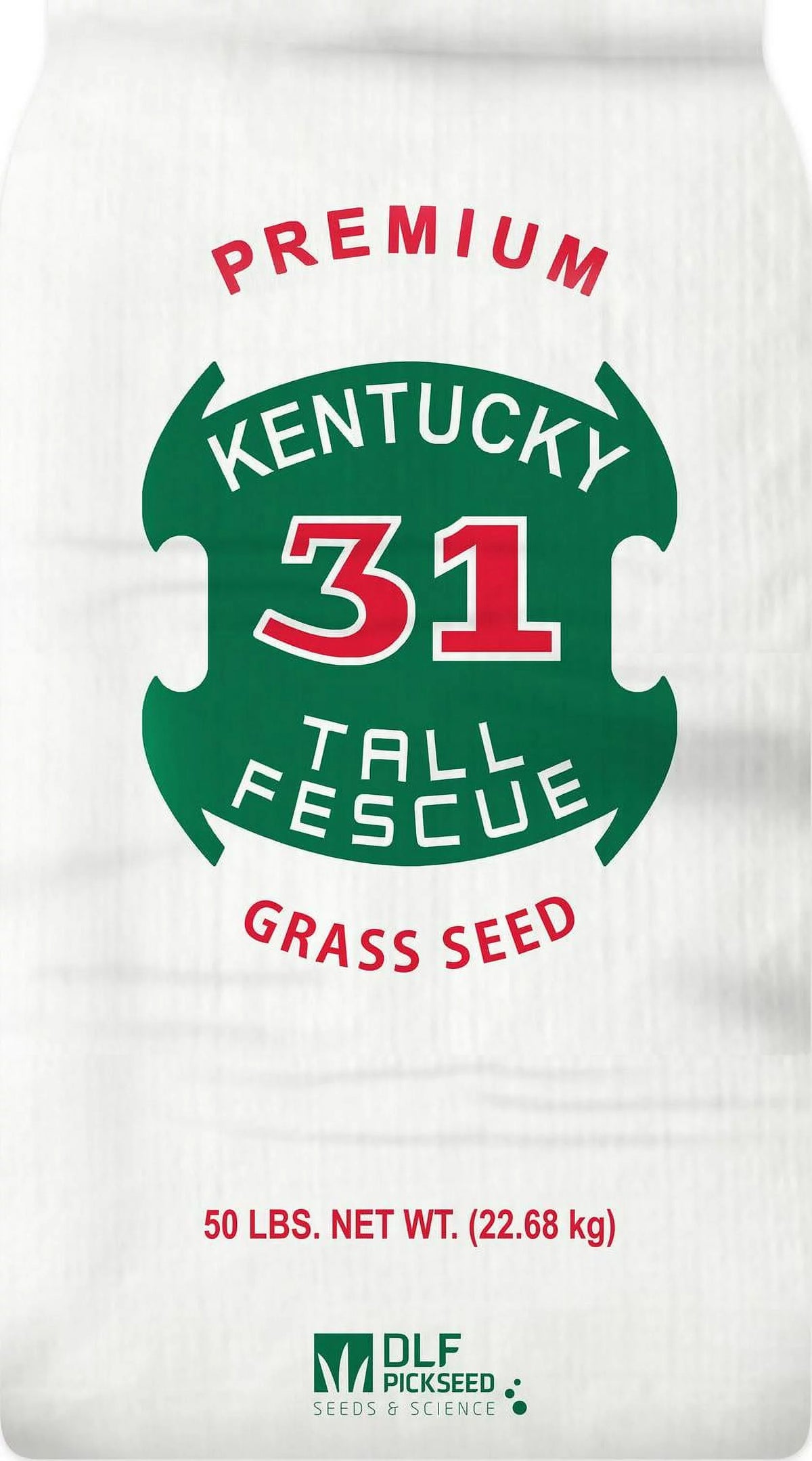 50 lb. Kentucky-31 Tall Fescue Grass Seed Q22443