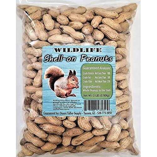 Peanuts in Shell R7463