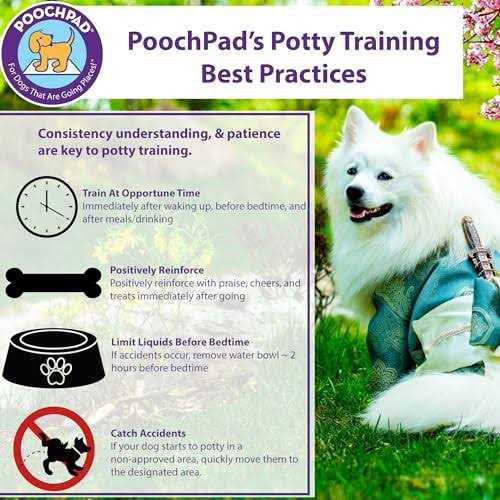 Potty Training Attractant H281