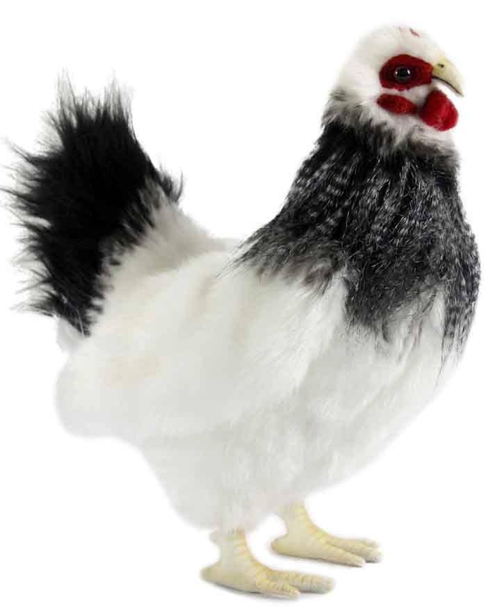 Black and White French Hen Plush E9879