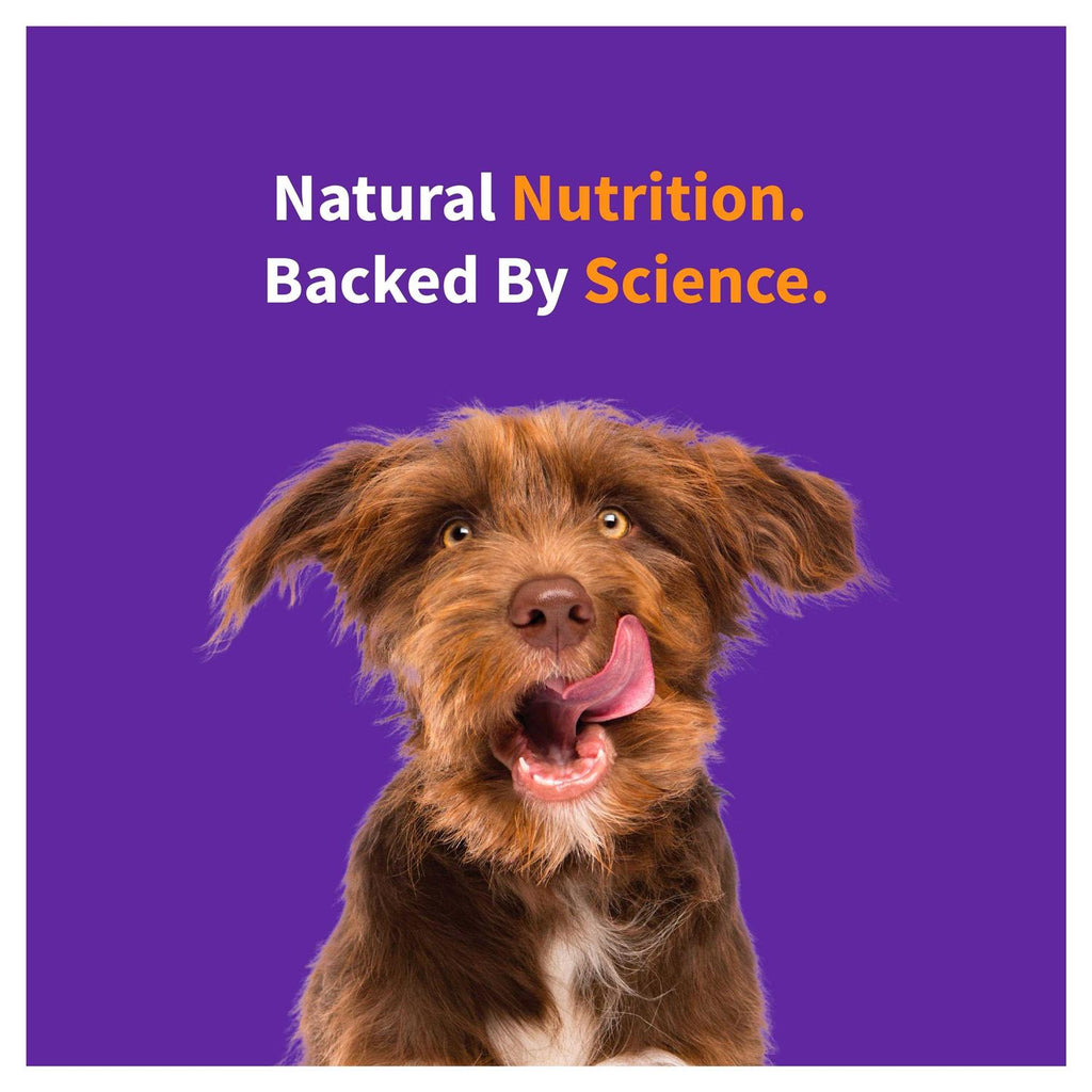 Red Meat Recipe Dry Dog Food P29250