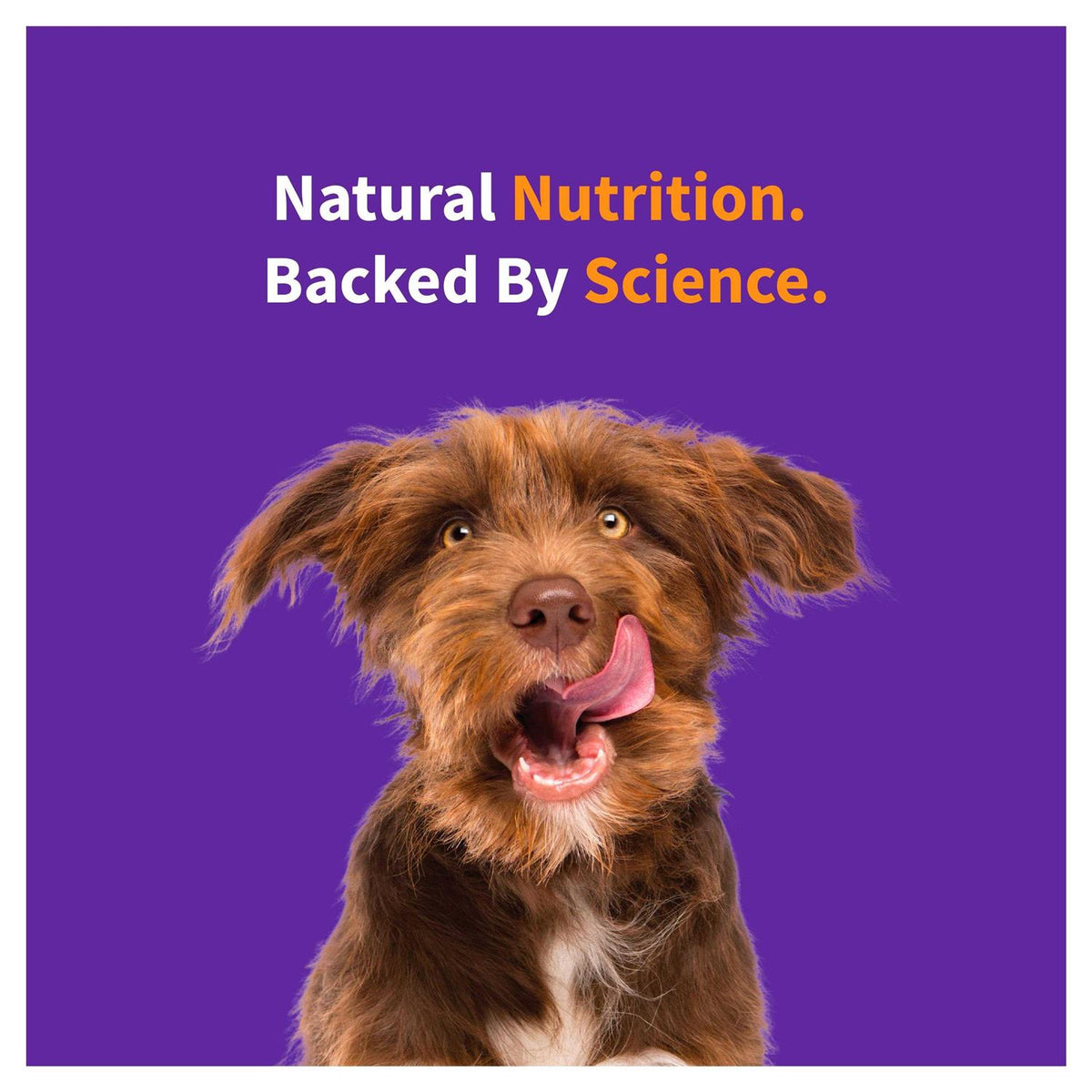 Red Meat Recipe Dry Dog Food P29250