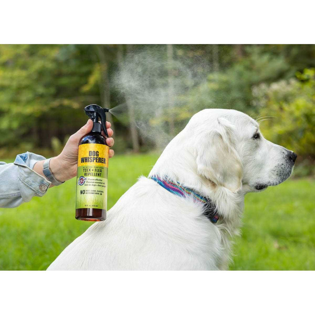 Tick Flea Repellent Pet Supplies Y51840