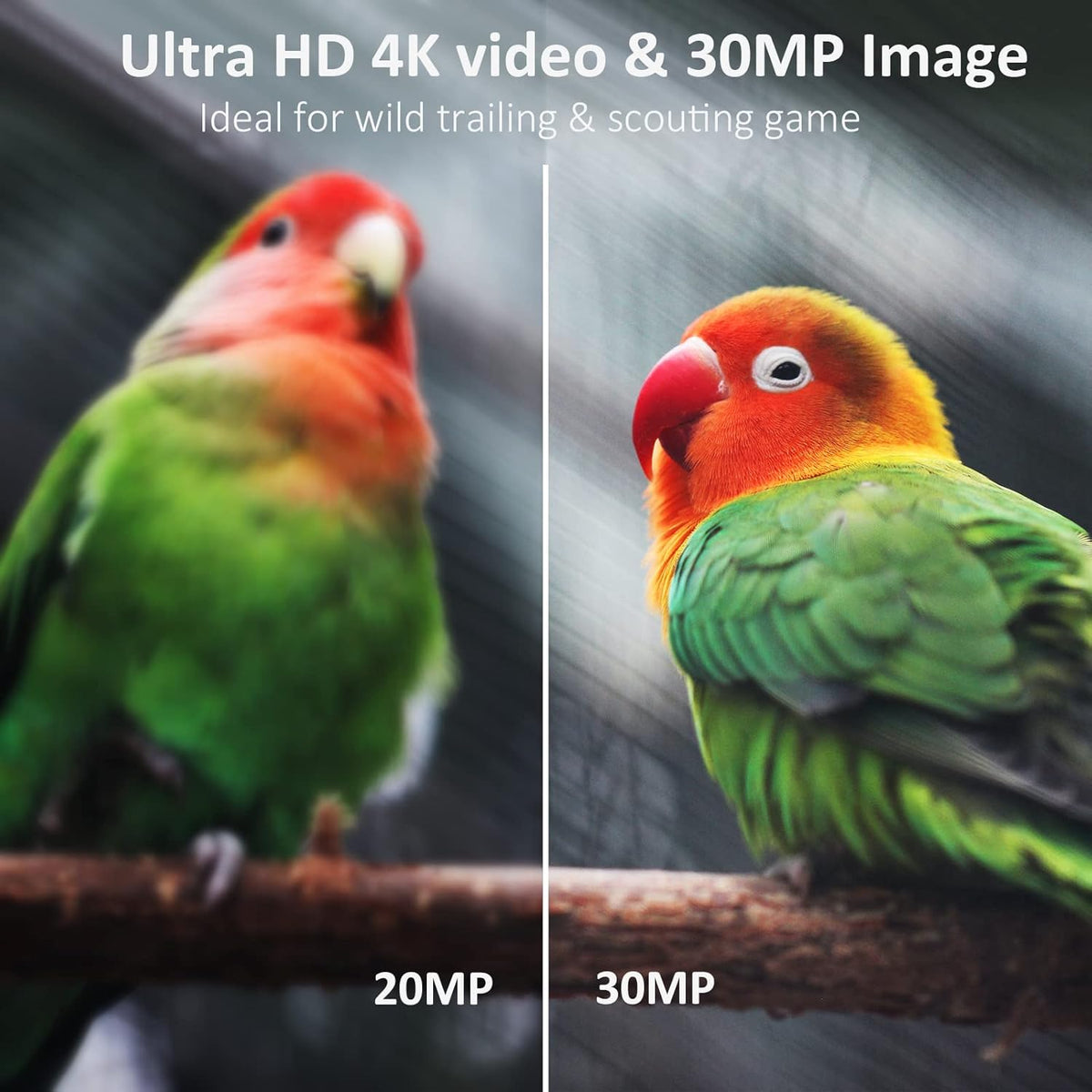 4K 30MP H.265 WiFi Trail Camera with Night Vision, Waterproof IP66, 64GB SD Card Included T674629