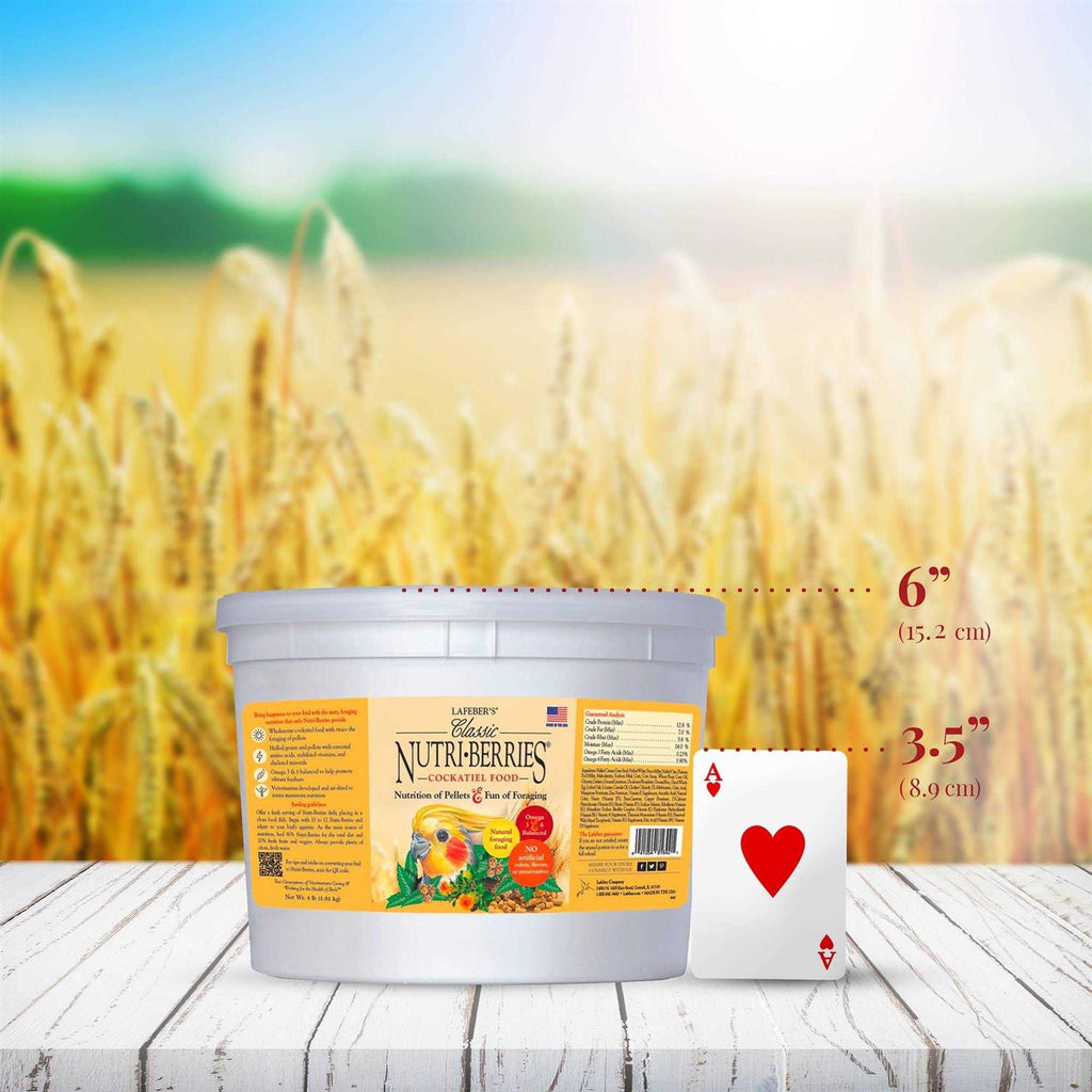 Nutri Berries Food V996091