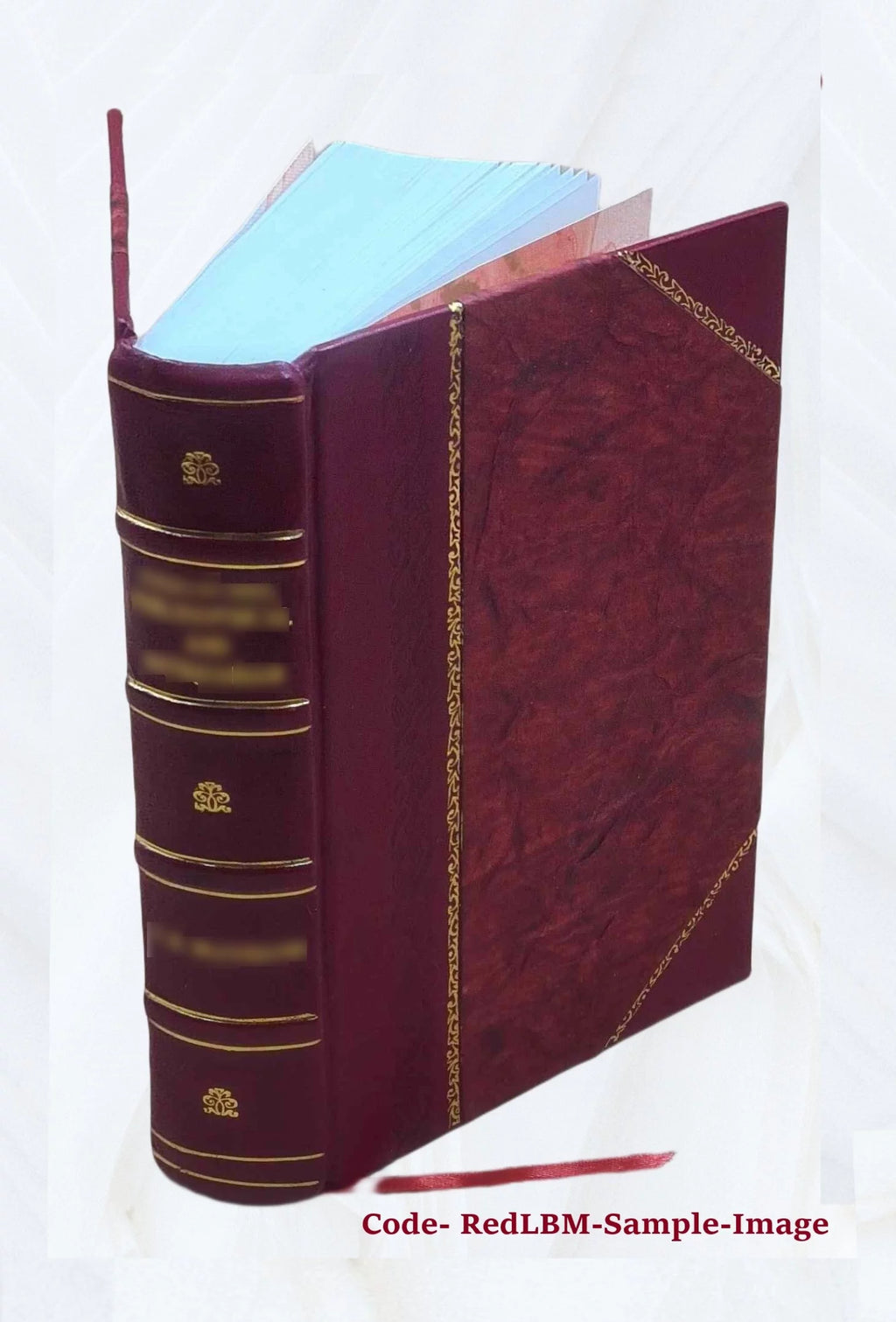 Leather Bound A543450