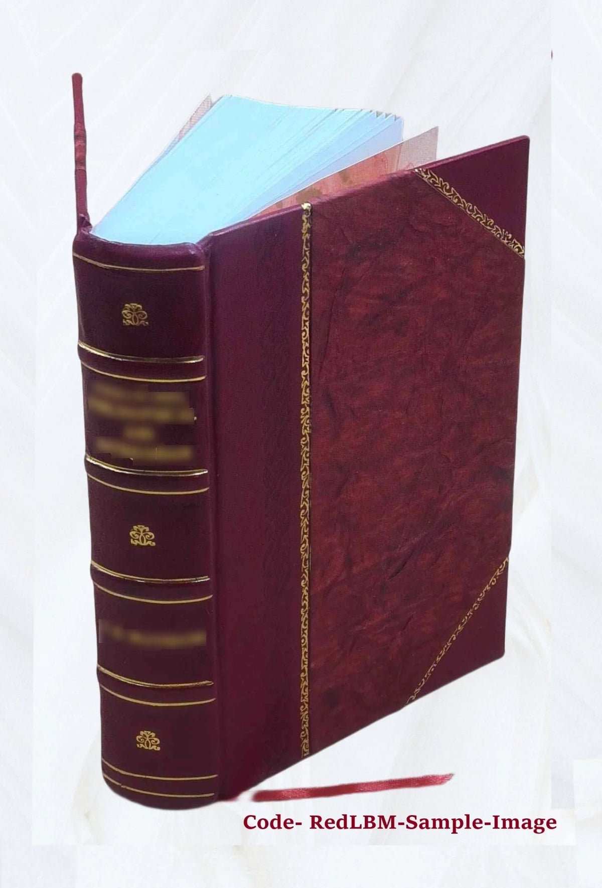 Leather Bound A543450
