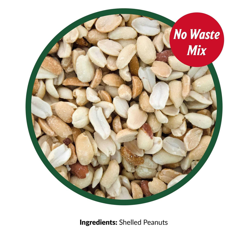 Peanut Pieces Wild Bird Food L31018