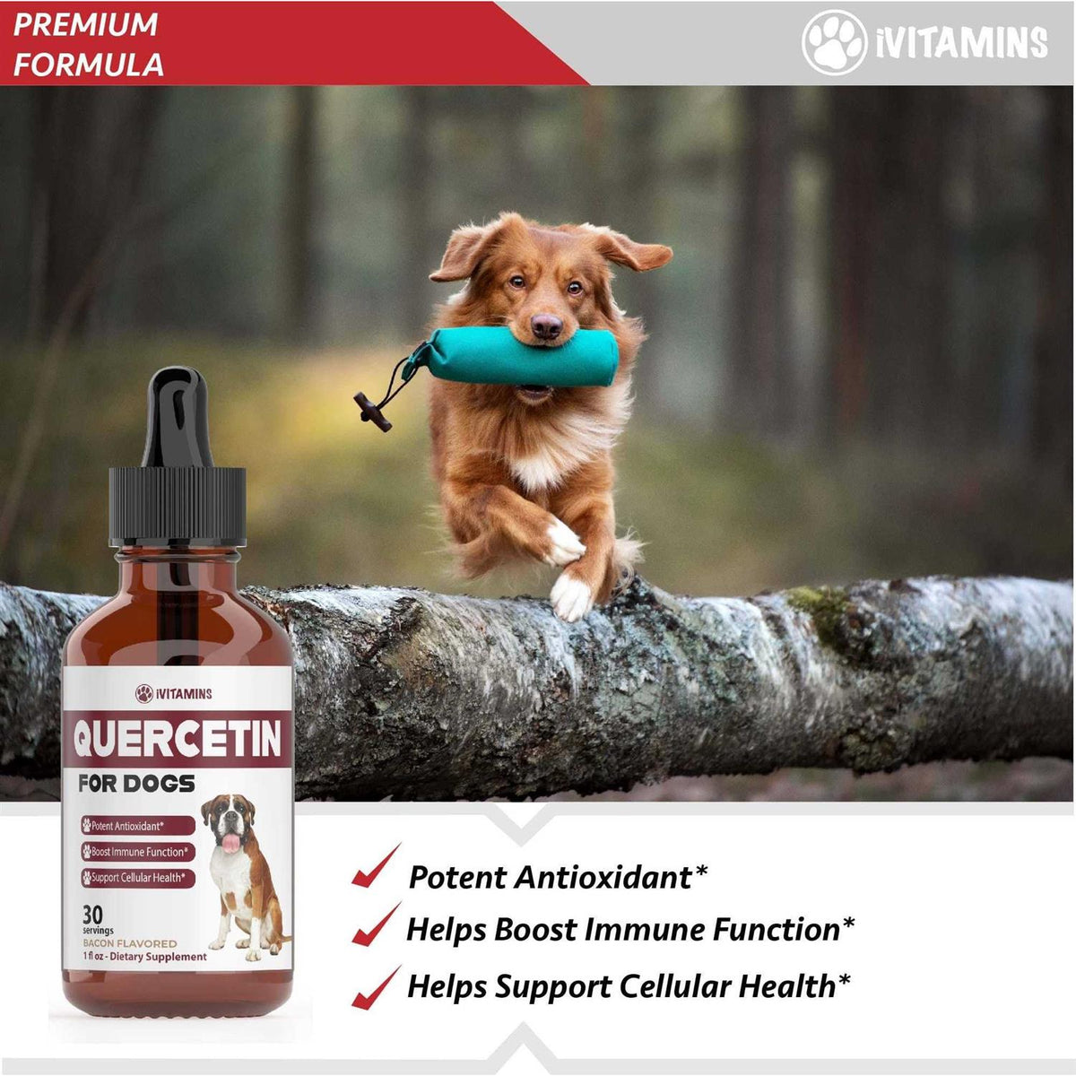 Quercetin for Dogs Allergy Relief L948