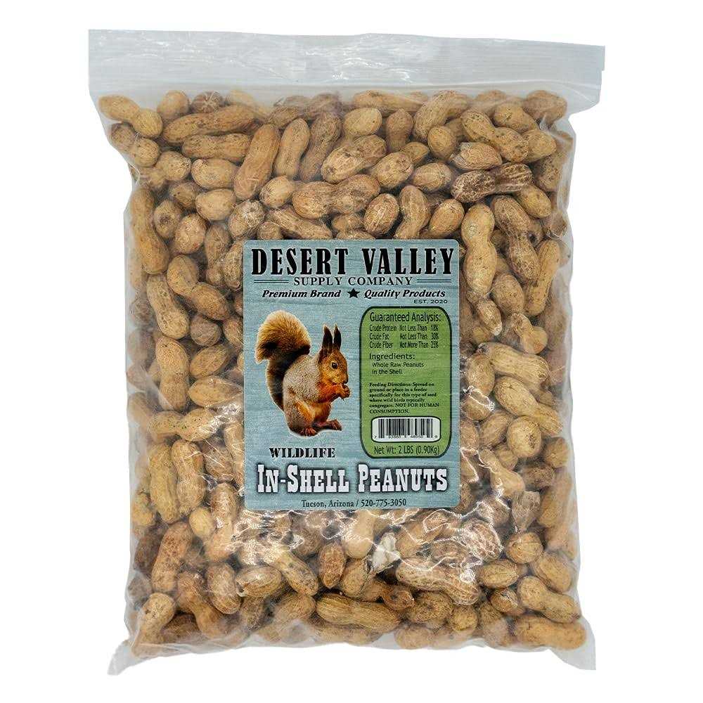 Peanuts in Shell R7463